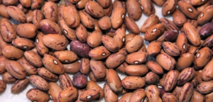 Beans pic