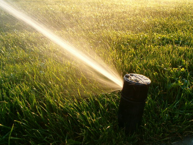 You Had One Job!  Turn Off the Sprinklers!  Oooops!
