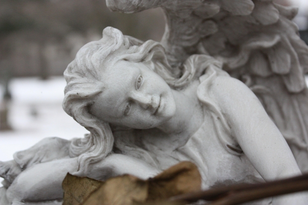Angel Falls From Heaven…Uh, Think Again!